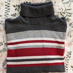Northern Reflections Stretchy Turtleneck Sweater